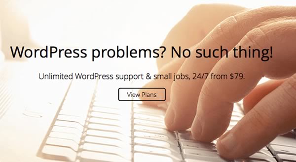 WP Curve wordpress